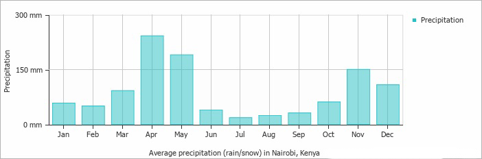 Le graphique des précipitations tout au long de l'année au Kenya