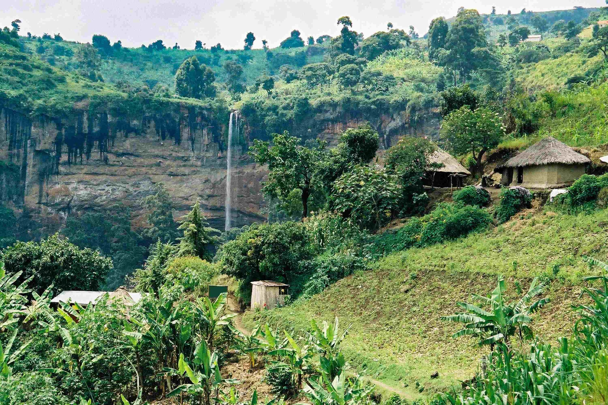 Randonnée vers les chutes de Sipi