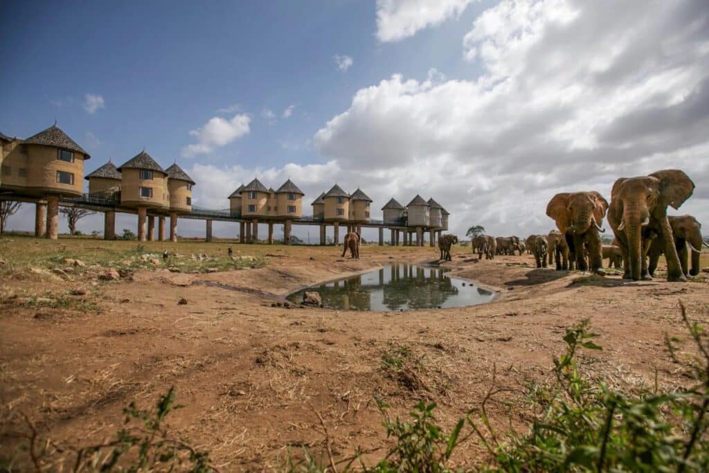 Lodge pour un safari au Kenya avec des enfants