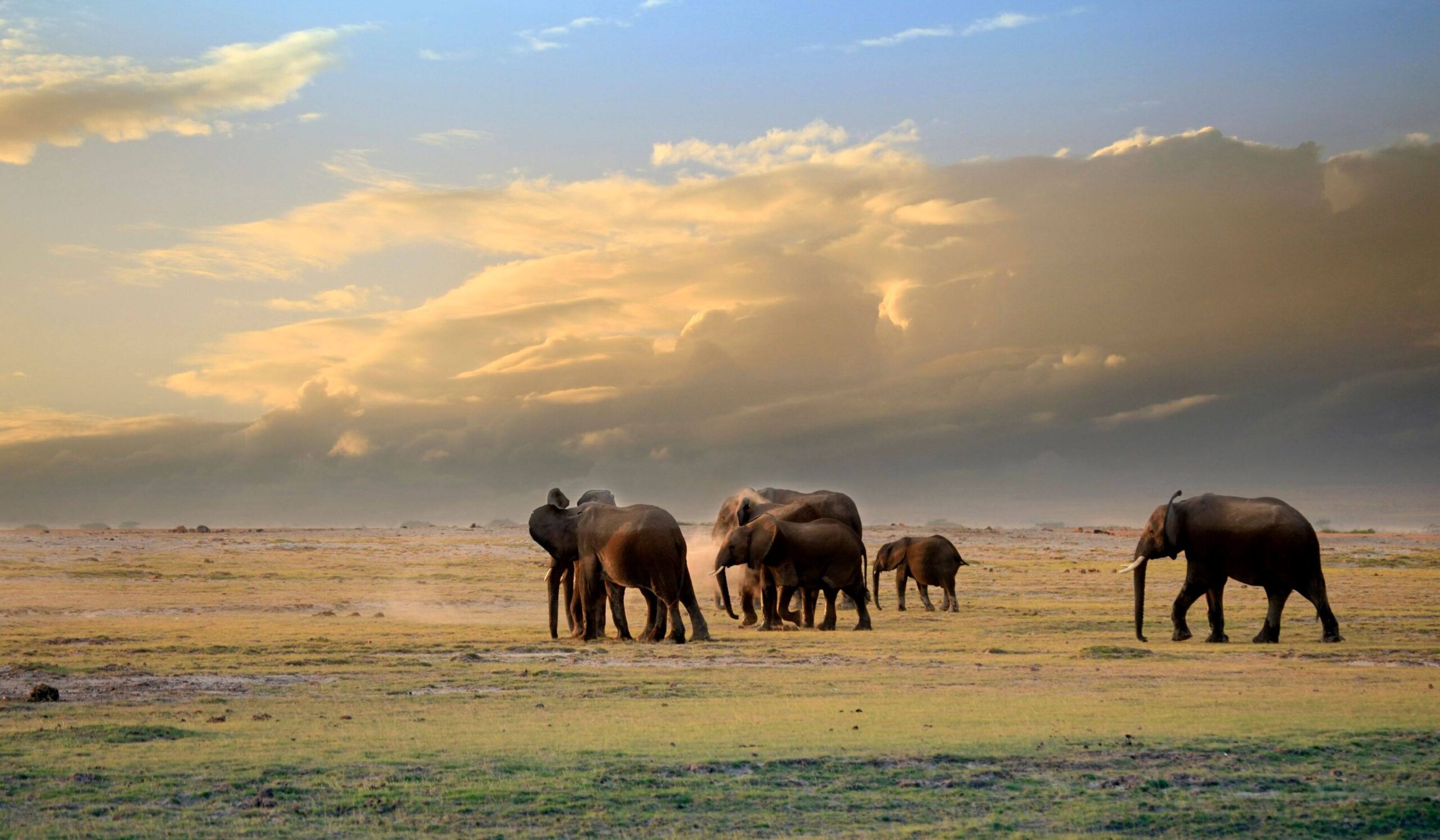 Parc National d'Amboseli