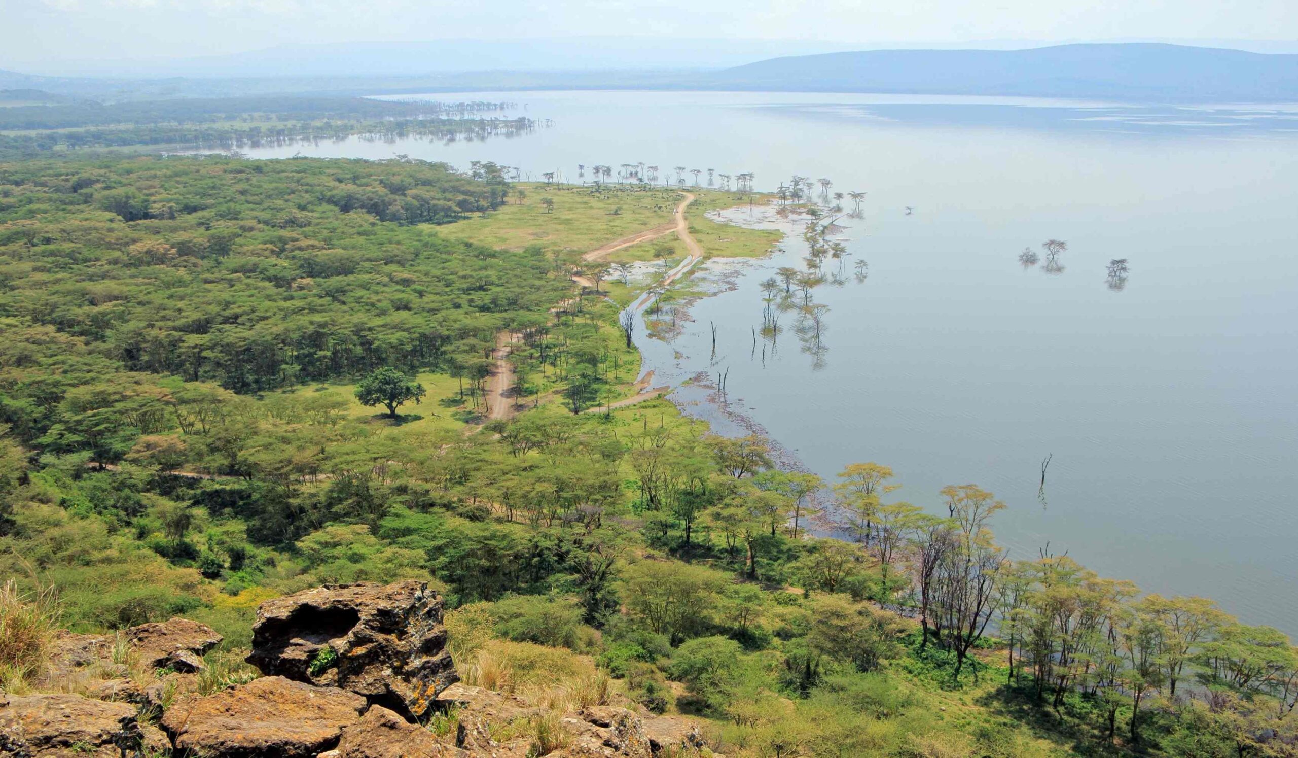 Parc national du lac Nakuru