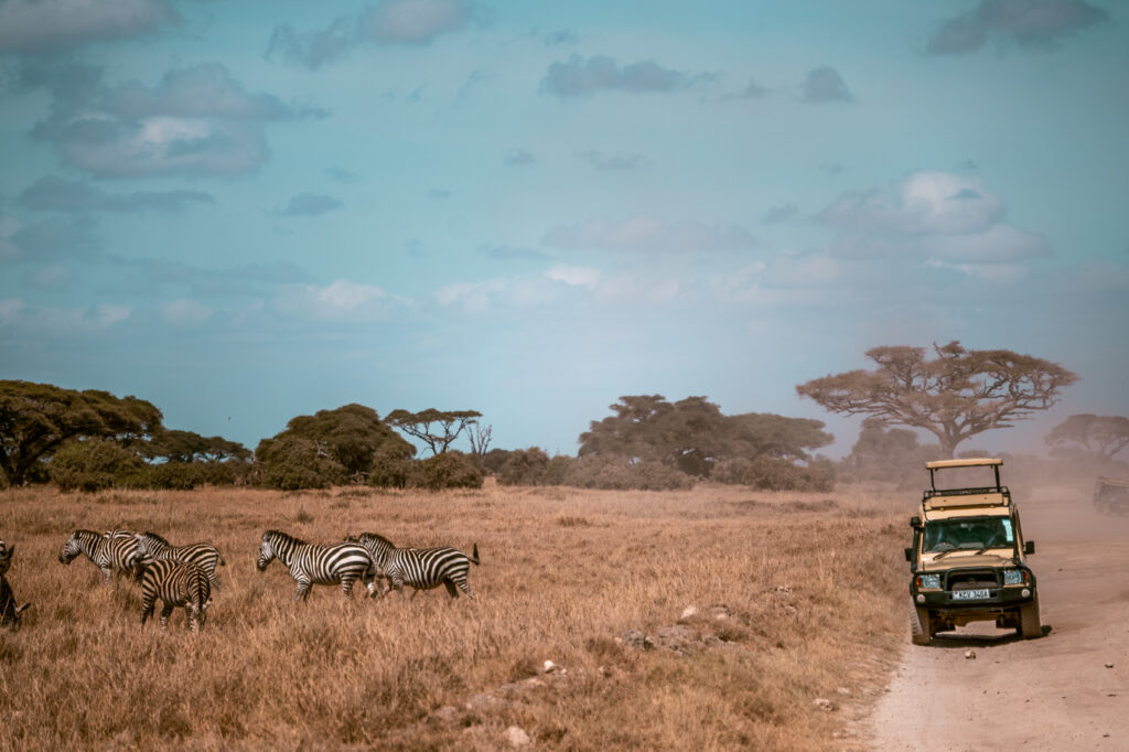 kenya zebra jeep