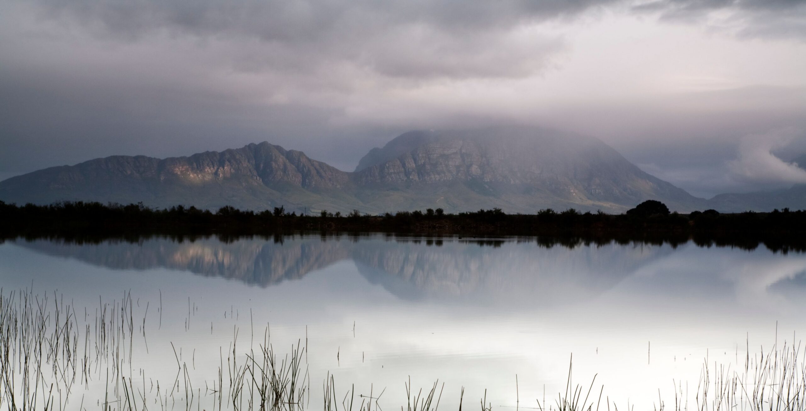 Tulbagh
