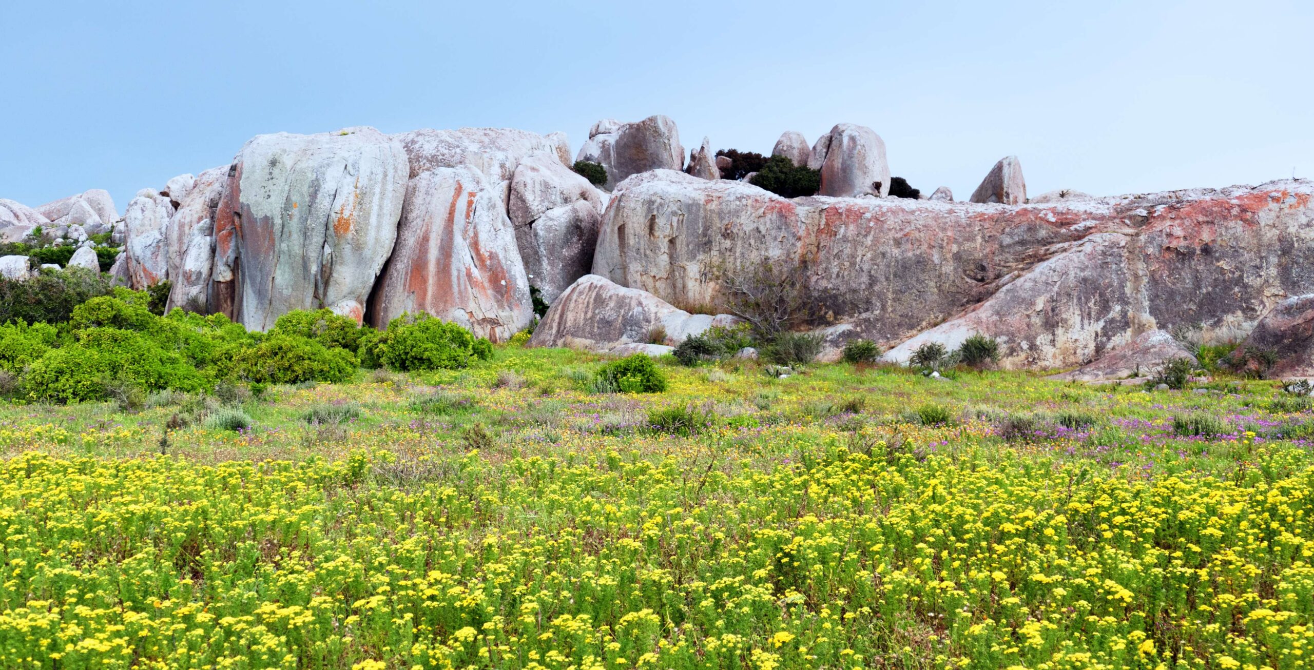 Parc national de la Côte Ouest