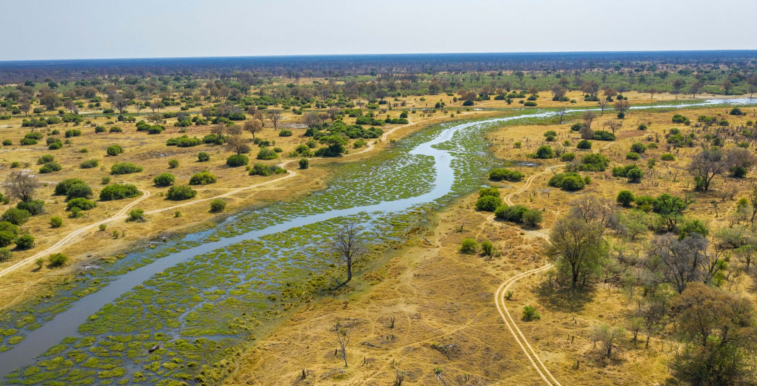 IM_BW_KHW_Khwai River aerial
