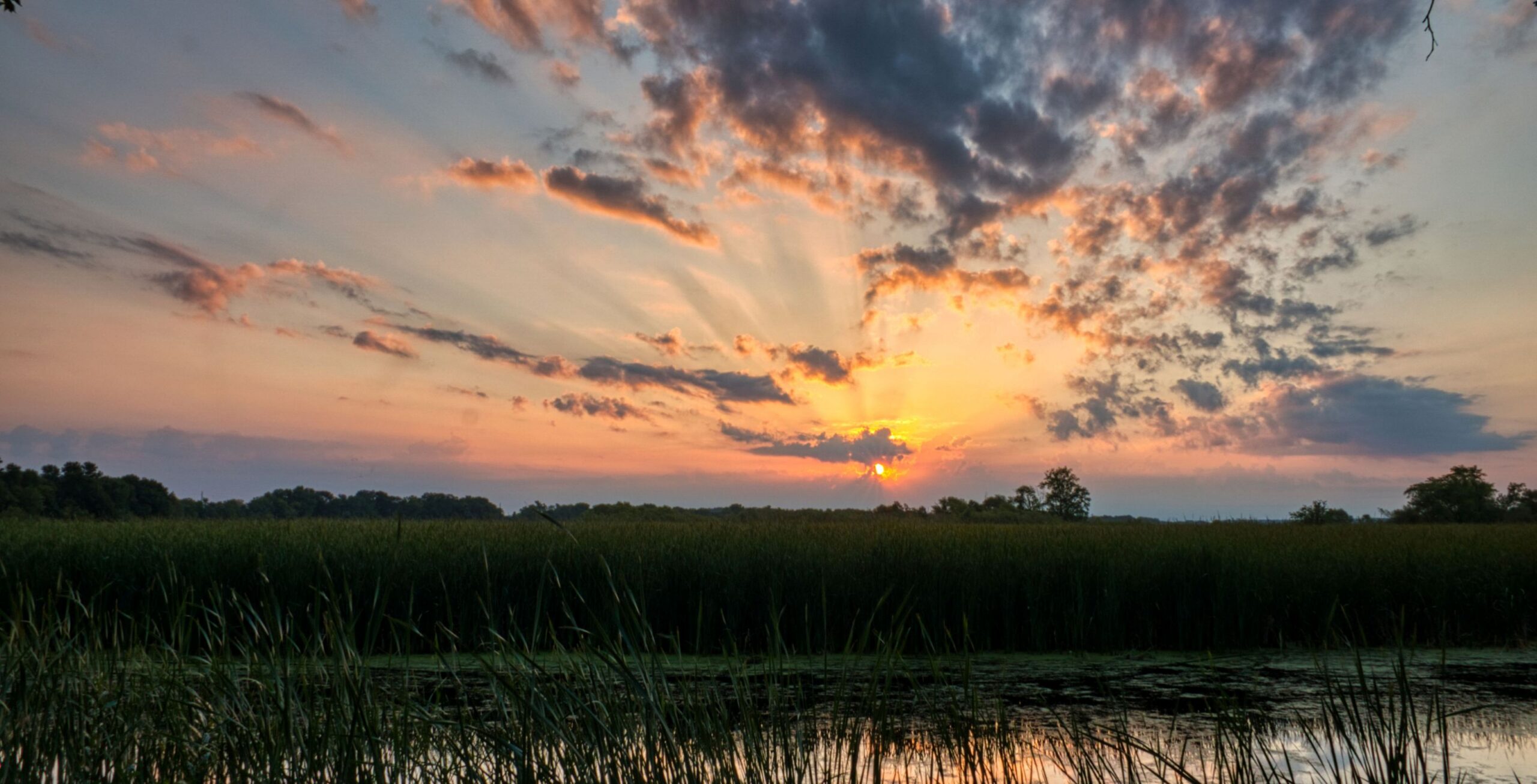 Vol de la concession communautaire de Khwai à la marais de Savuti
