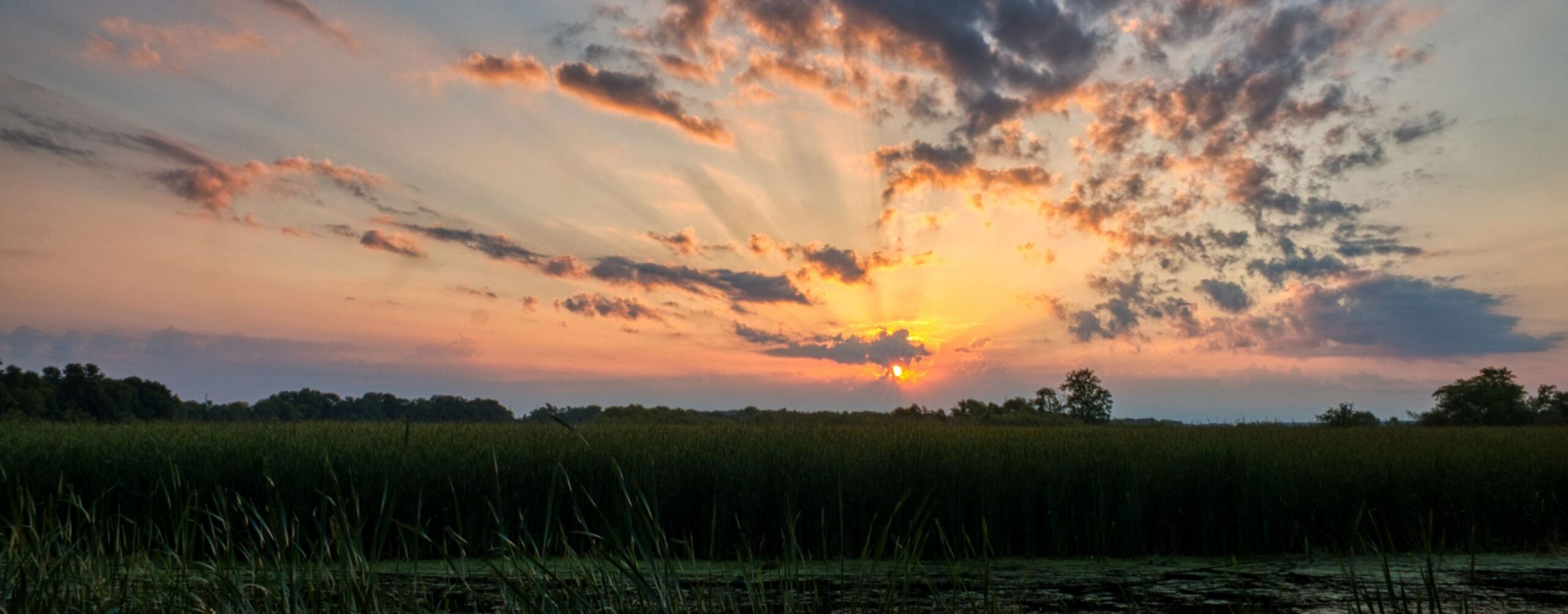 Drive from the Khwai Community Consession to Kasane
