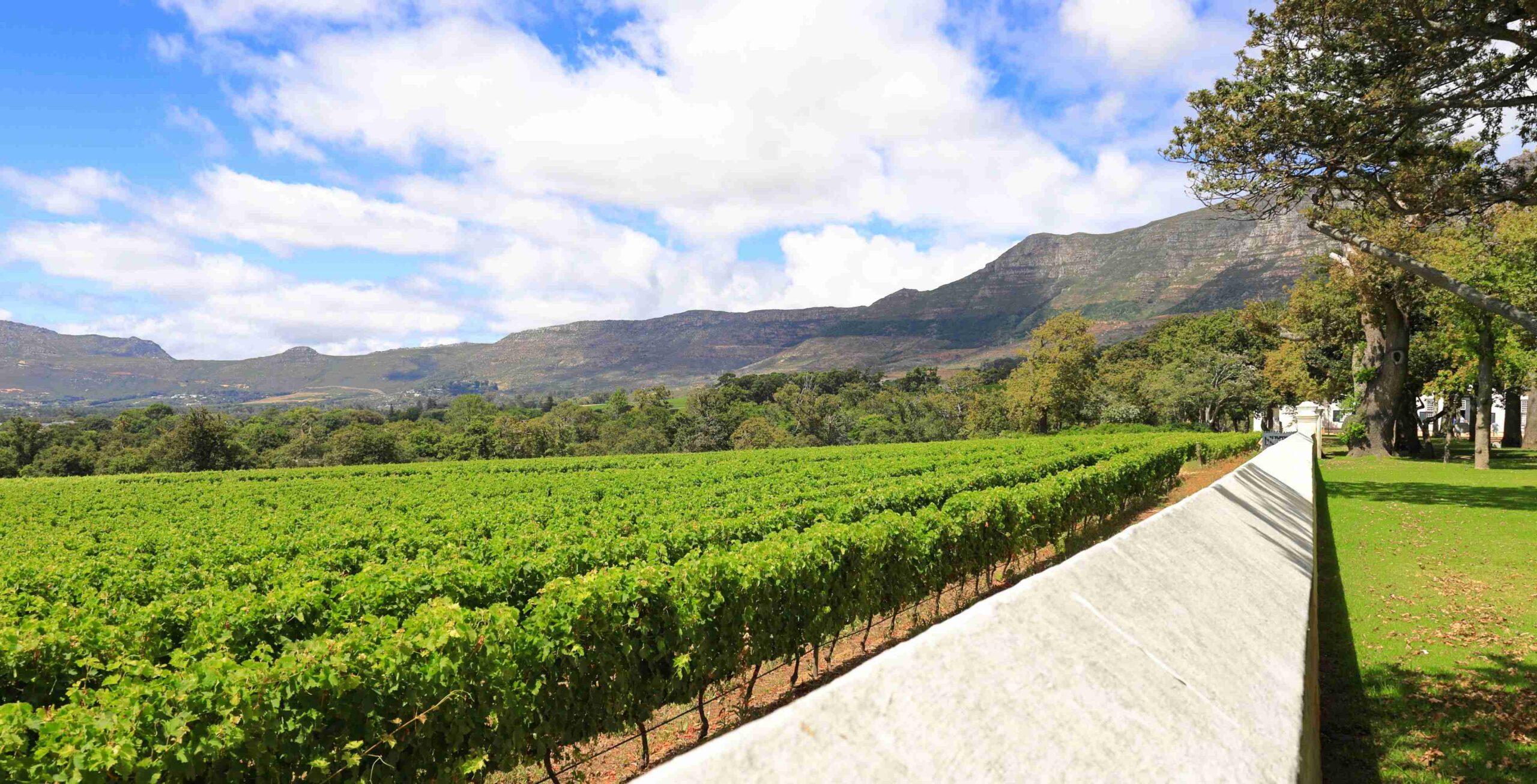 Visite et dégustation de vin à Groot Constantia (paiement sur place)