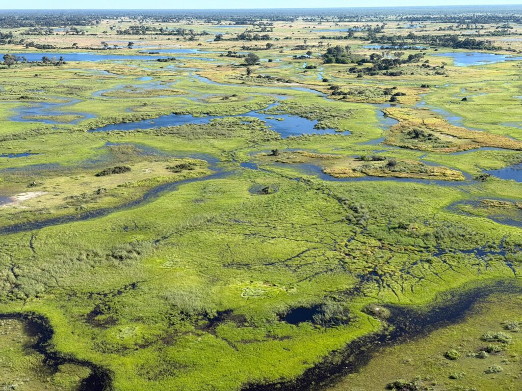 Vue du ciel : le Delta de l'Okavango se déploie entre herbes hautes, îlots boisés et canaux qui serpentent à l'infini.