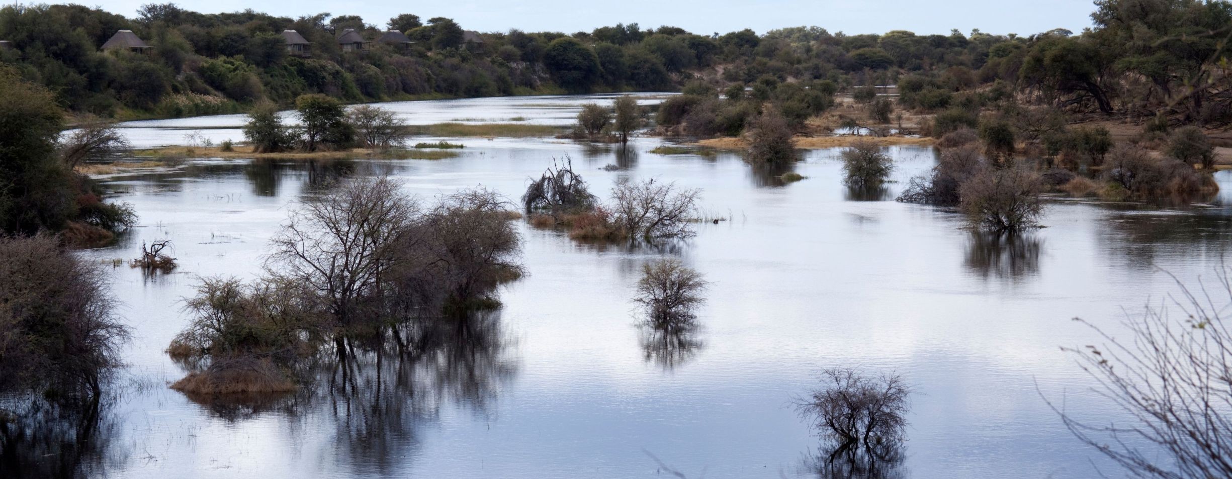 Vol de Maun au fleuve Boteti dans le parc national des pans de Makgadikgadi.
