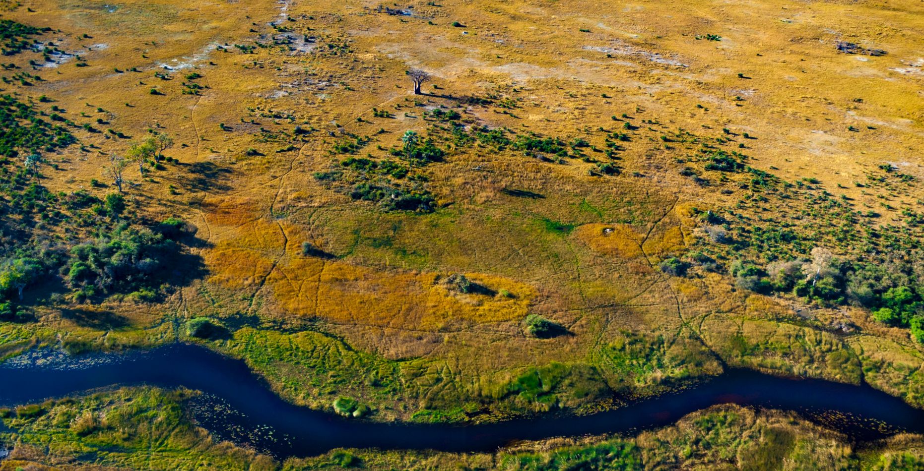 Vol de la concession communautaire de Khwai vers la réserve de chasse de Moremi