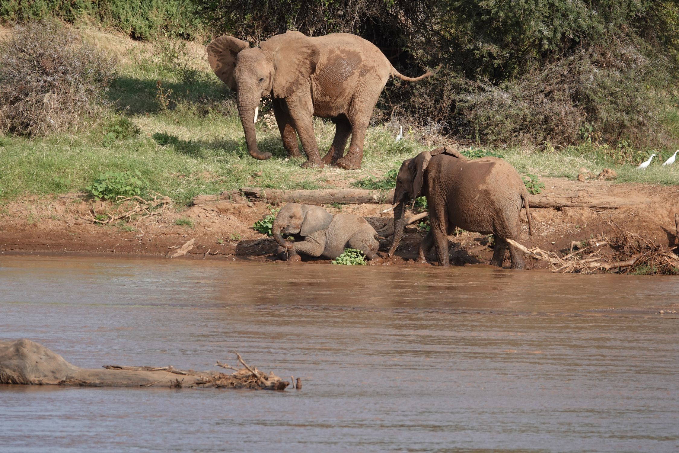 Zone de conservation d'Ol' Pejeta