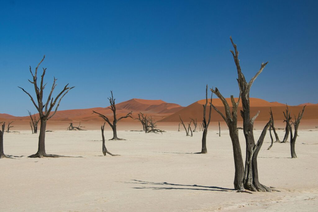 Dunes rouges spectaculaires de Sossusvlei