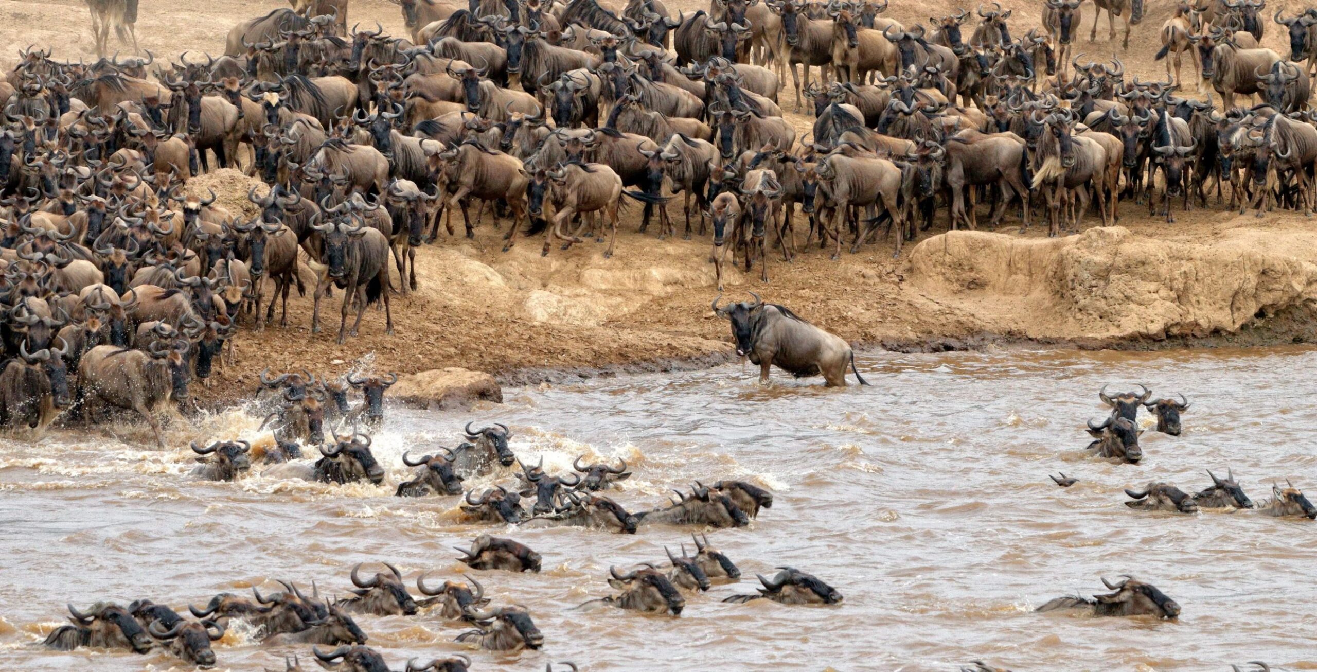 Réserve nationale du Masai Mara