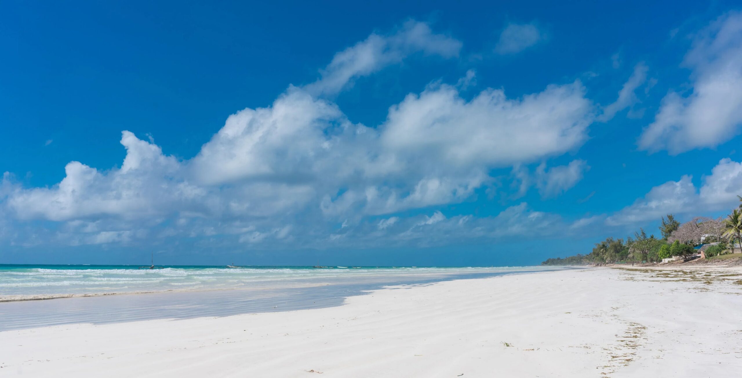 Trajet du parc national de Tsavo Est à la plage de Diani