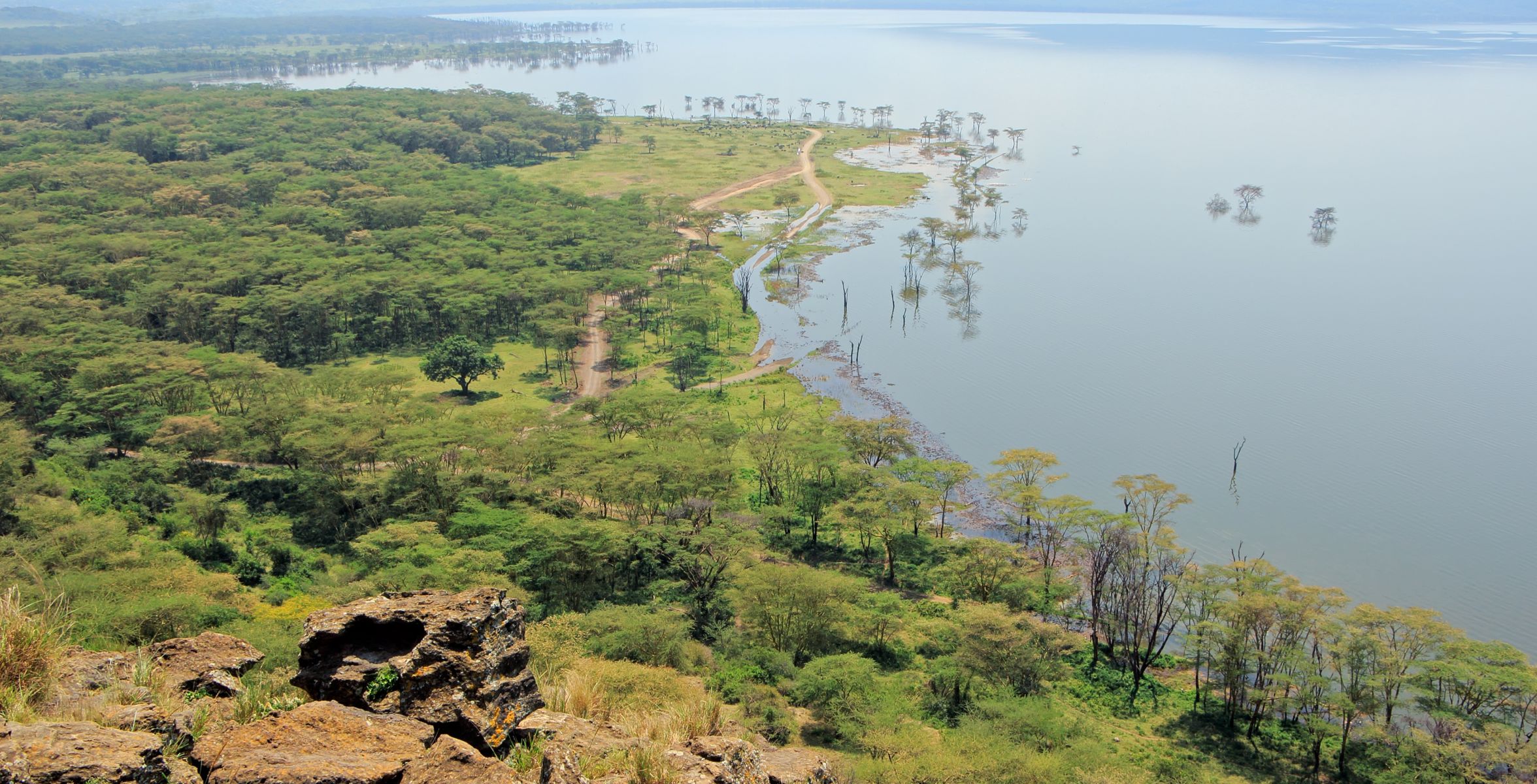 Trajet de la zone de conservation de Solio au parc national du lac Nakuru