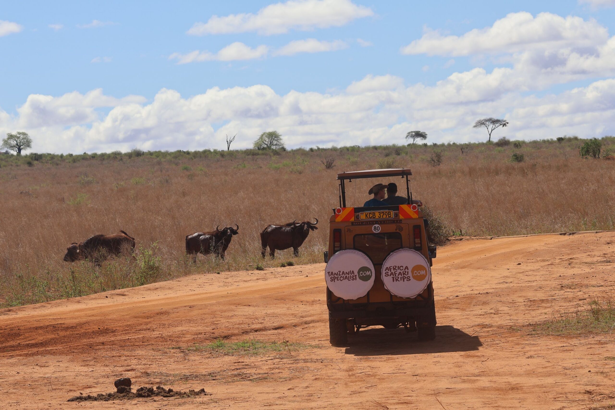 Trajet du parc national de Tsavo Ouest à celui de Tsavo Est