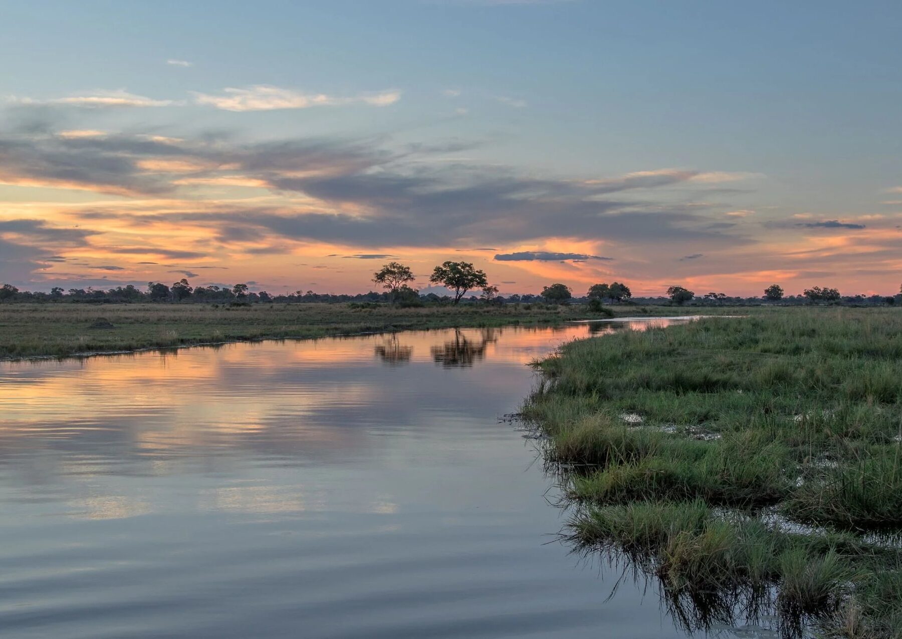 Okavango Delta River with greenery at sunrise
