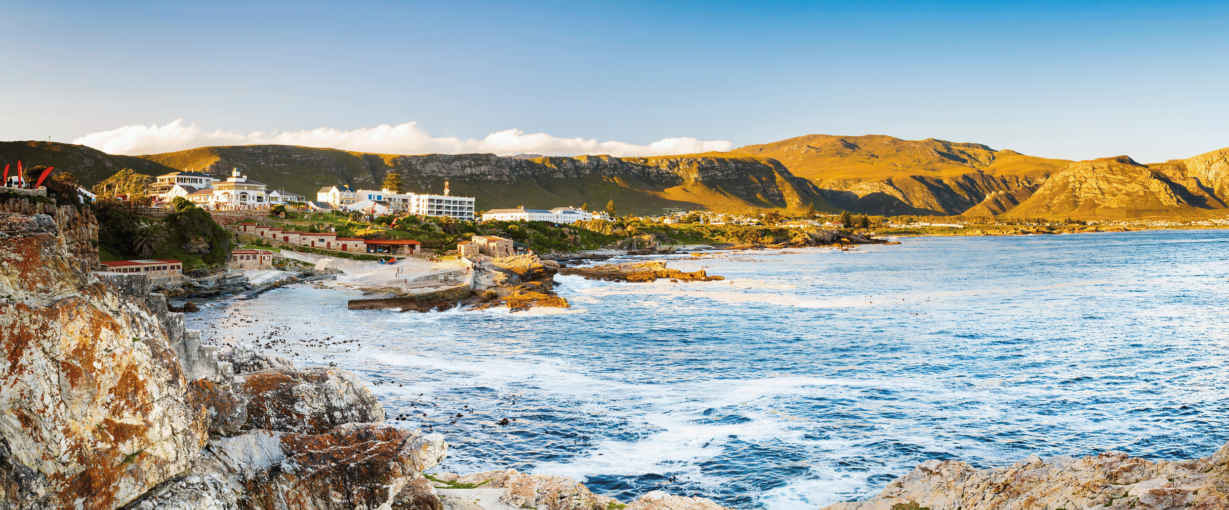 Observation des baleines à Hermanus