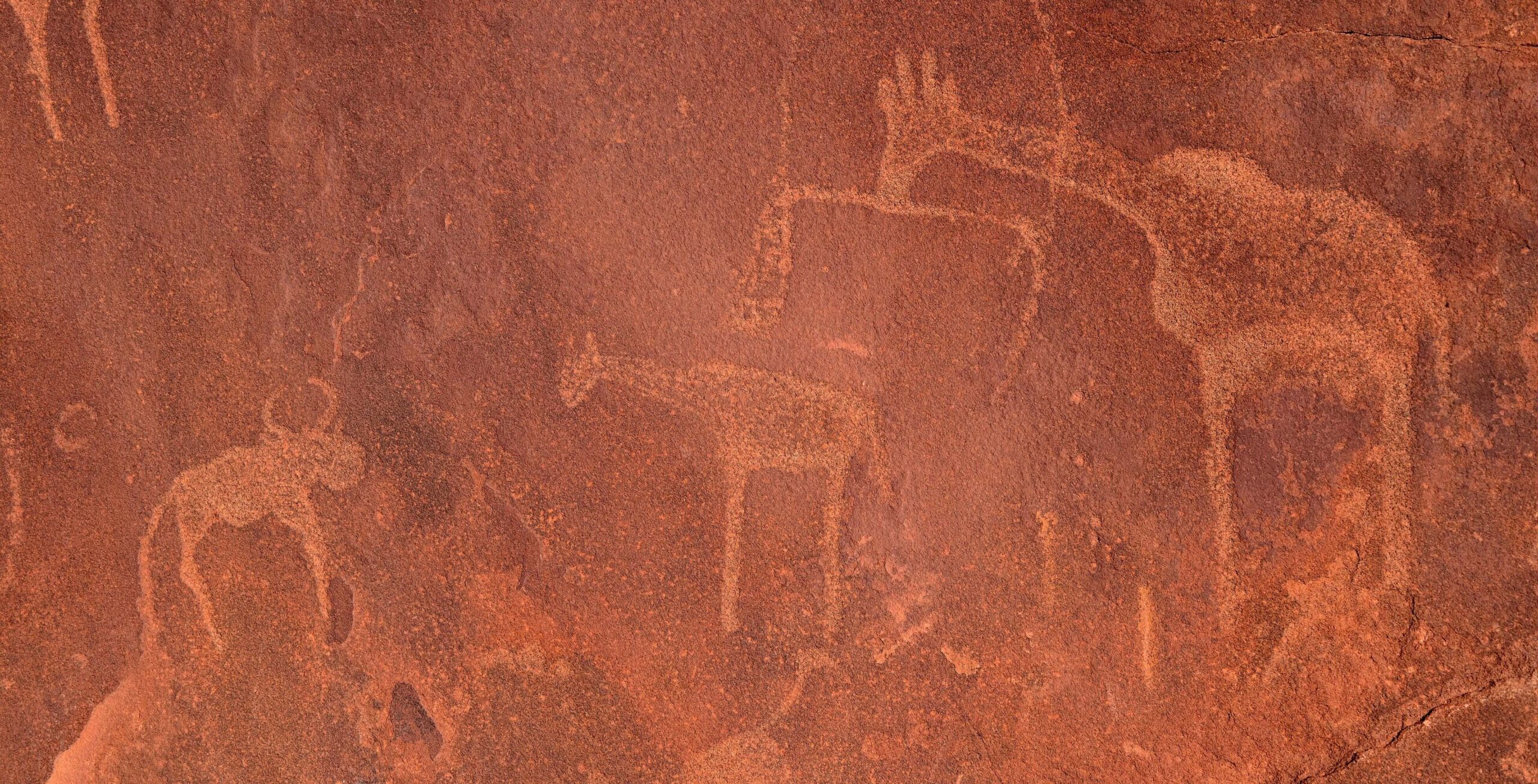 Damaraland