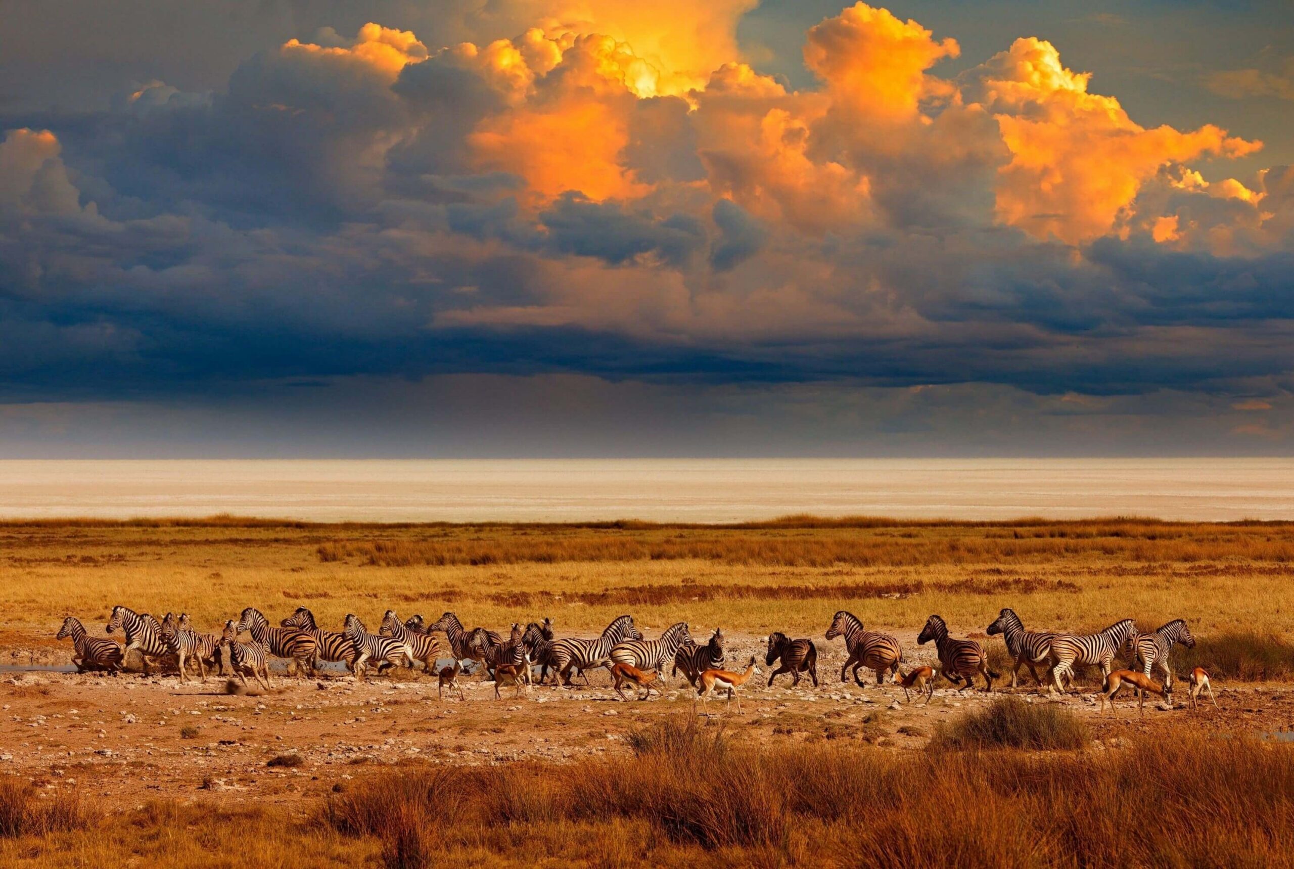 Parc national d'Etosha