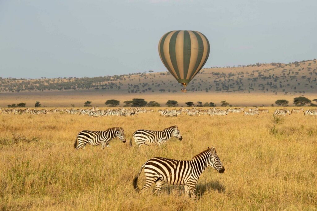 Une montgolfière survole la savane et un troupeau de zèbres
