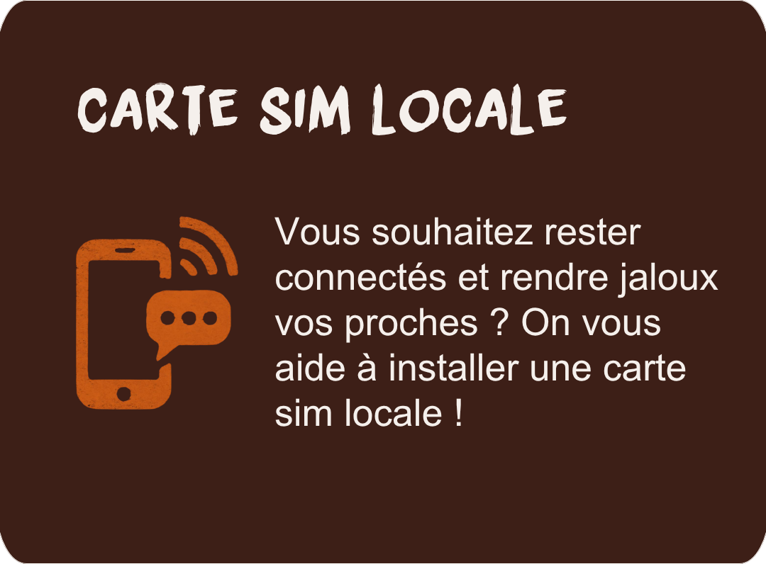 Local SIM