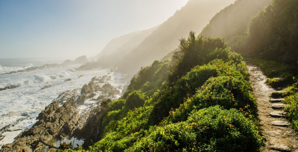Un sentier de randonnée côtier surplombant le littoral escarpé le long de la Route des Jardins en Afrique du Sud