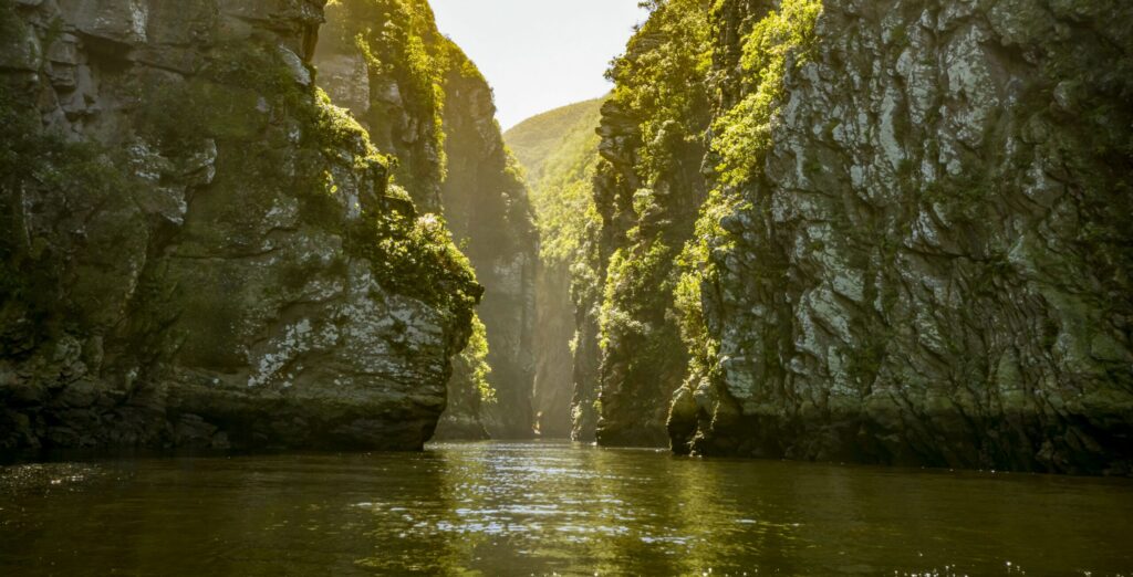 Gorge de la riviere Storms au parc national de Tsitsikamma