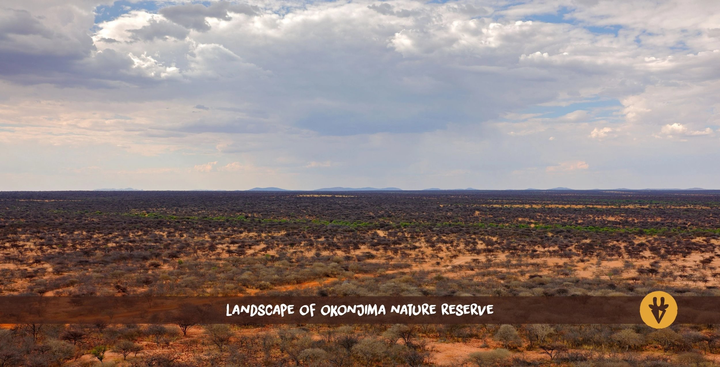 Vue panoramique aérienne sur la réserve naturelle d'Okonjima en Namibie, couverte d'arbustes et d'arbres.