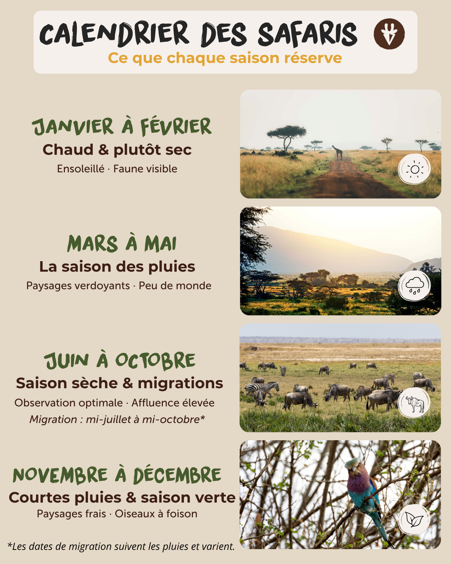 Calendrier de safari au Kenya indiquant la saison sèche et chaude, la grande saison des pluies, la saison de migration, les petites pluies et la période de la Grande Migration de mi-juillet à mi-octobre.