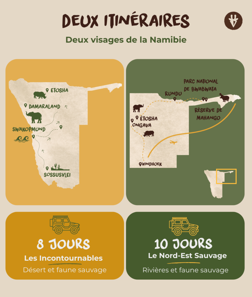 Deux itinéraires illustrés en Namibie : un voyage de 8 jours via Etosha, Damaraland, Swakopmund et Sossusvlei, et un circuit de 10 jours dans le nord-est du pays.