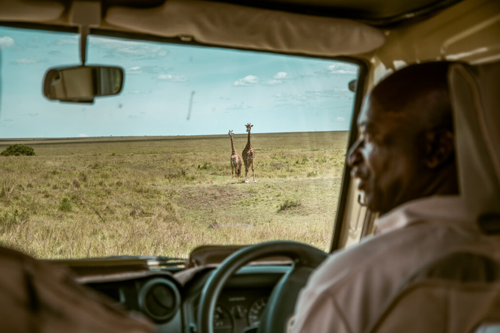 IM_KE_MAR_ Guide en 4x4 observant des girafes