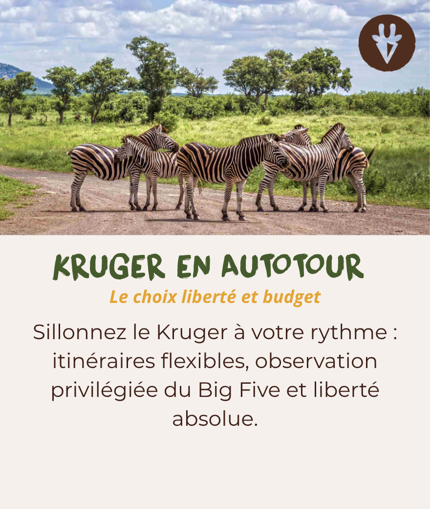 Safari en autonomie au parc Kruger, idéal pour la liberté, le rapport qualité-prix et explorer à son propre rythme