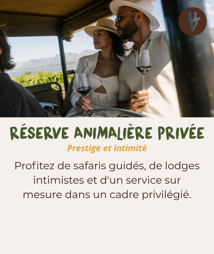 Safari dans une réserve privée avec safaris guidés en 4x4, lodges intimistes et service personnalisé