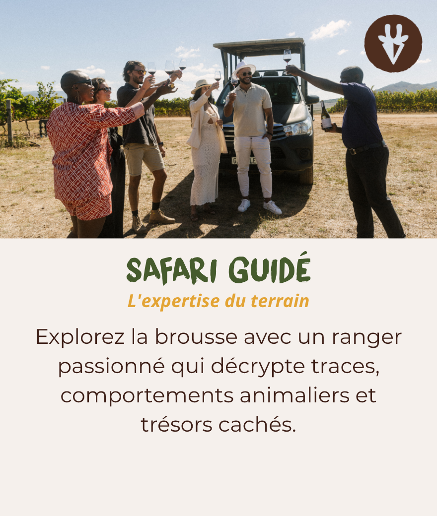 Safari guidé avec un ranger expert qui aide les voyageurs à repérer la faune et les empreintes d'animaux