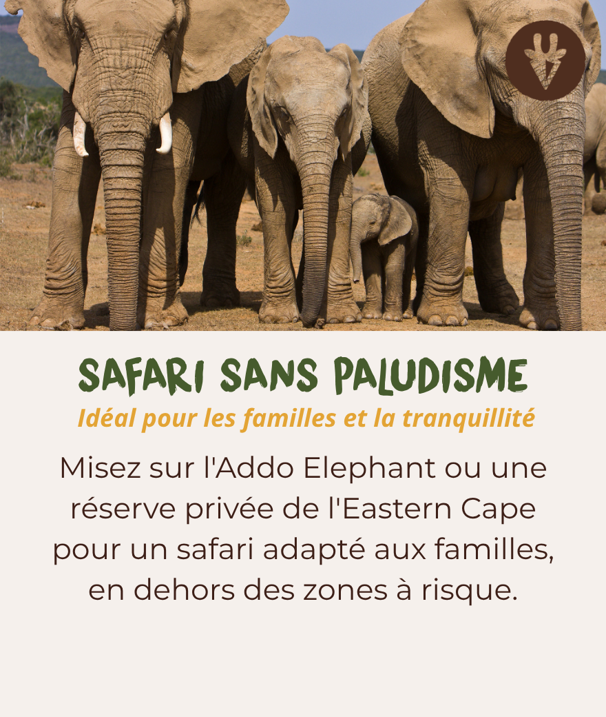 Safari en famille sans paludisme dans le parc national d'Addo Elephant ou dans le Cap-Oriental
