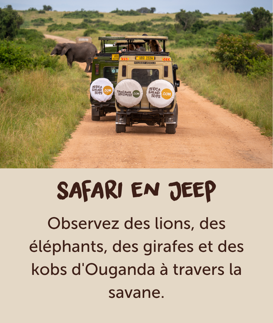 Jeep de safari privée croisant un éléphant lors d'un safari photo en Ouganda.