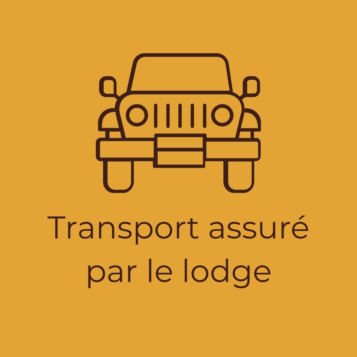 Use the lodge's transport