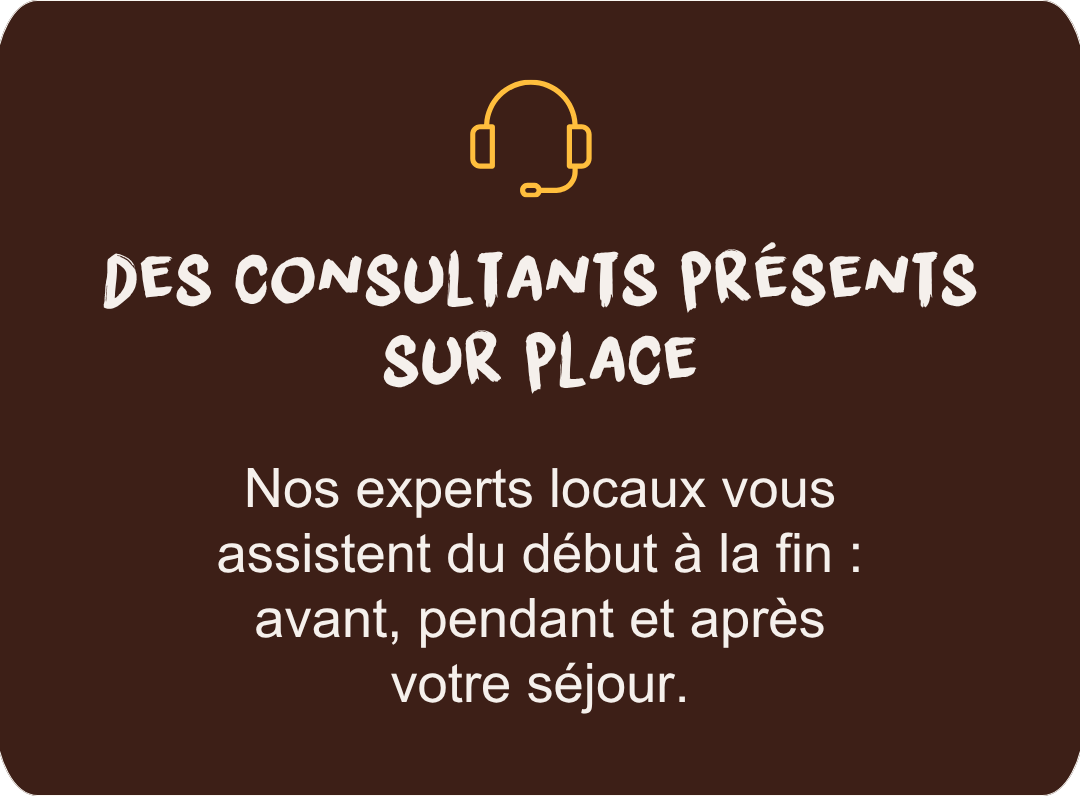 On-site consultants