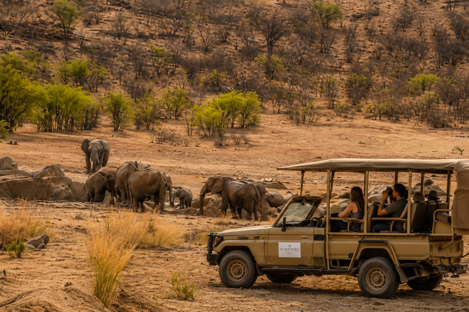 Safari dans la concession de Hobatere